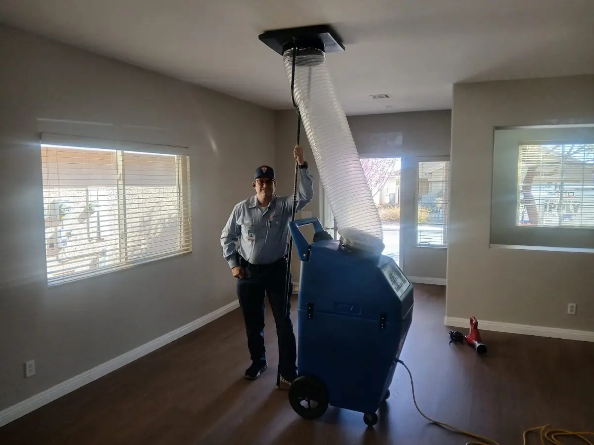 Professional Dryer Vent Cleaning work inside a Wellington home